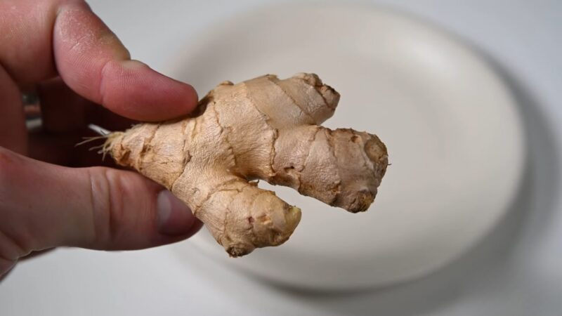 The Power of Ginger